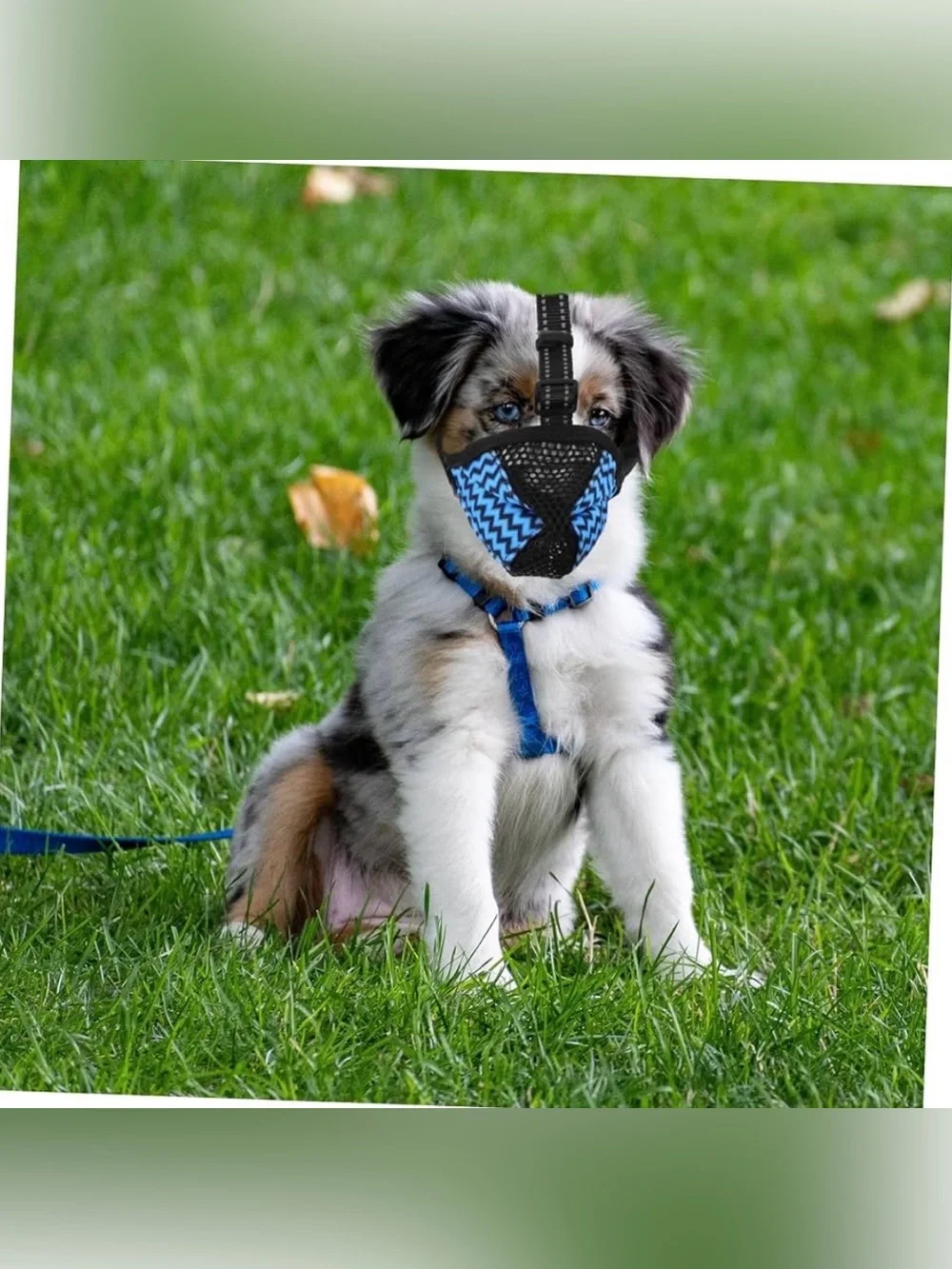 Dog Muzzle, Air Mesh Breathable Muzzle for Small Sized Dogs to Anti & Prevent Bi